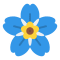Dementia forget me not