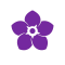 purple forgetmenot transparent for website